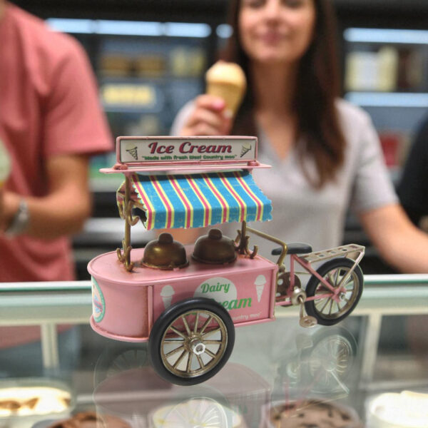 Vintage Style Pink Ice Cream Tricycle Cart Decoration