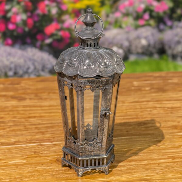 17.75" Tall Ornate Iron & Glass Terrarium "Bella Lucia" in 2 Color Options