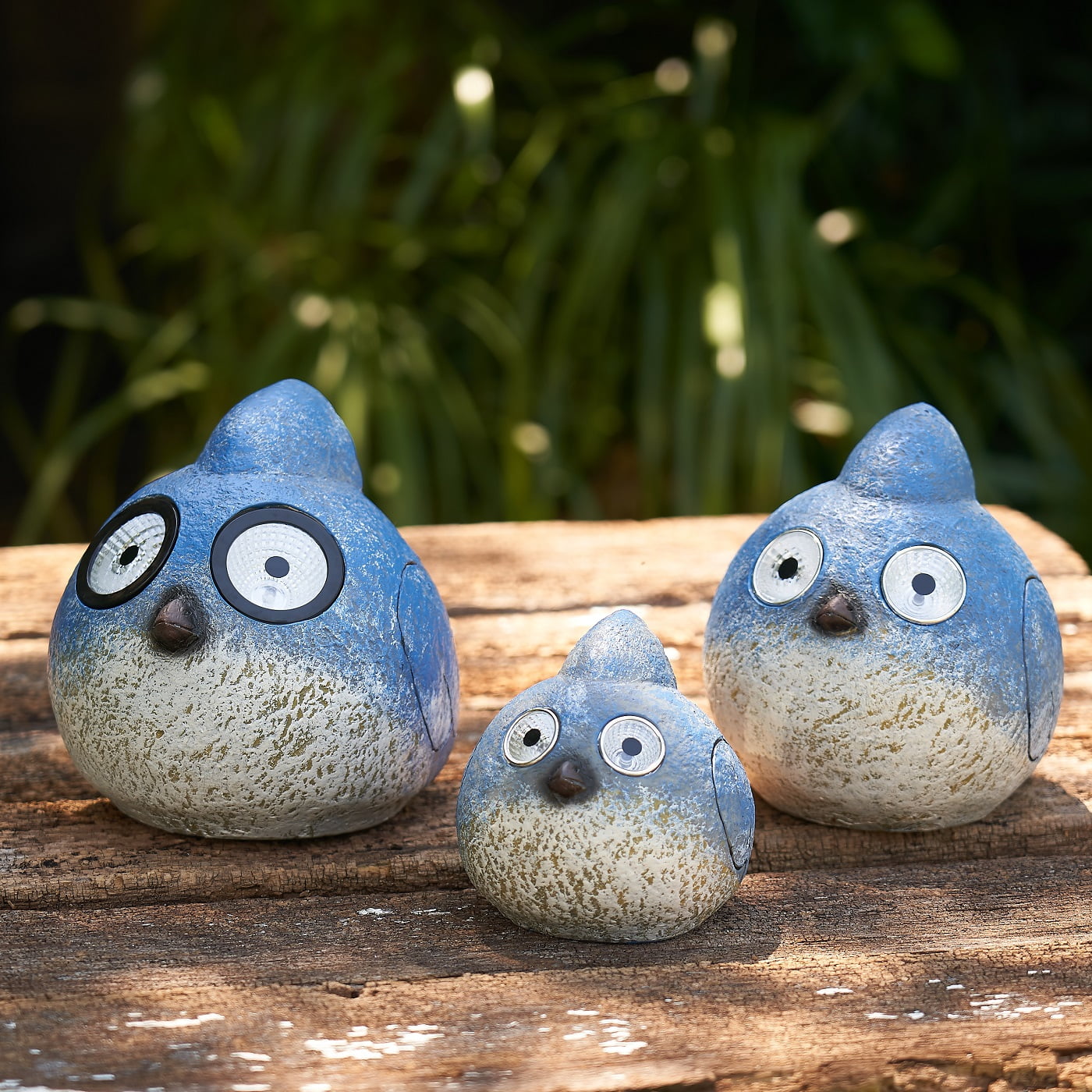 Unique Home and Garden Decor