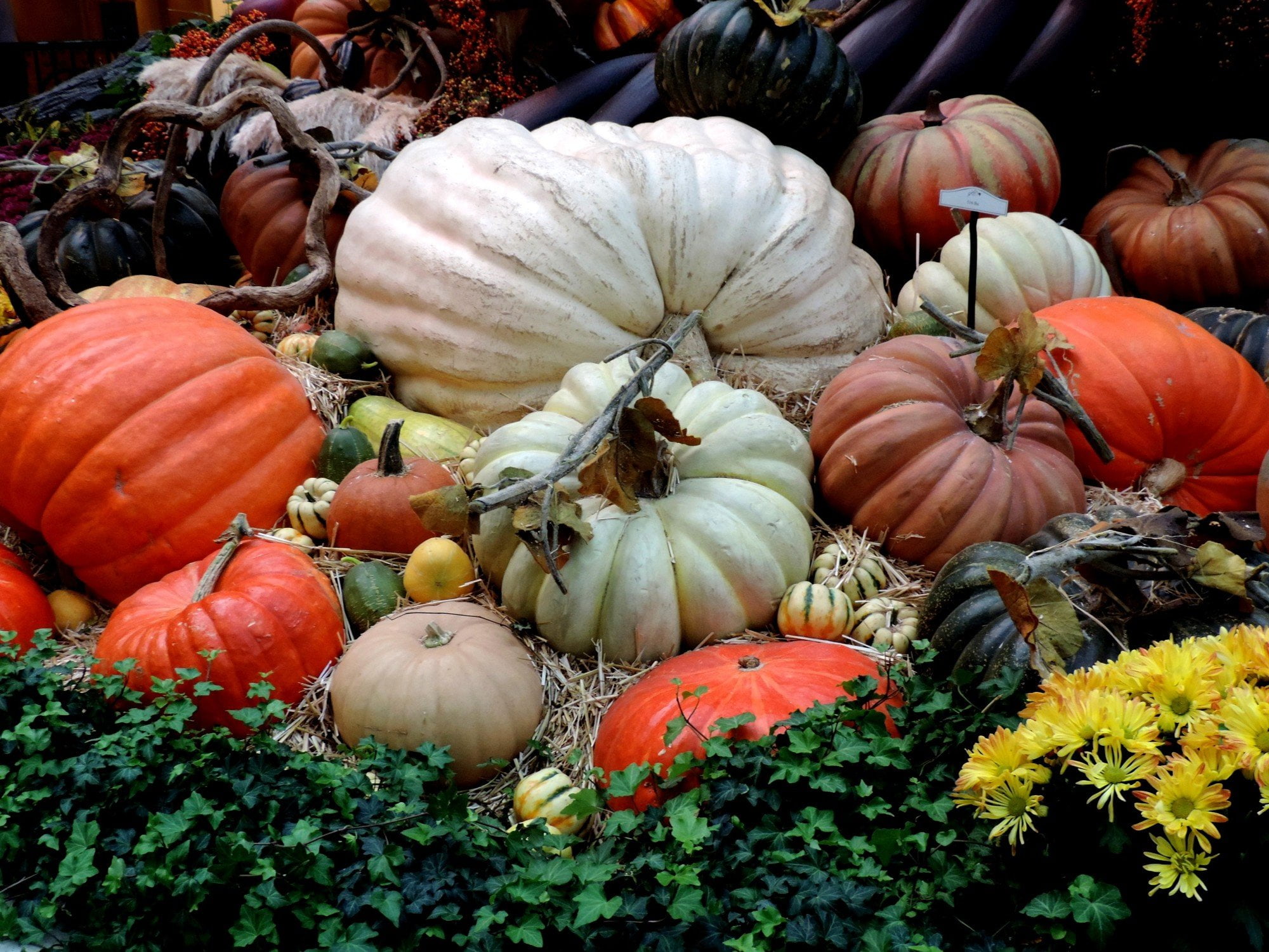 outside fall decor ideas