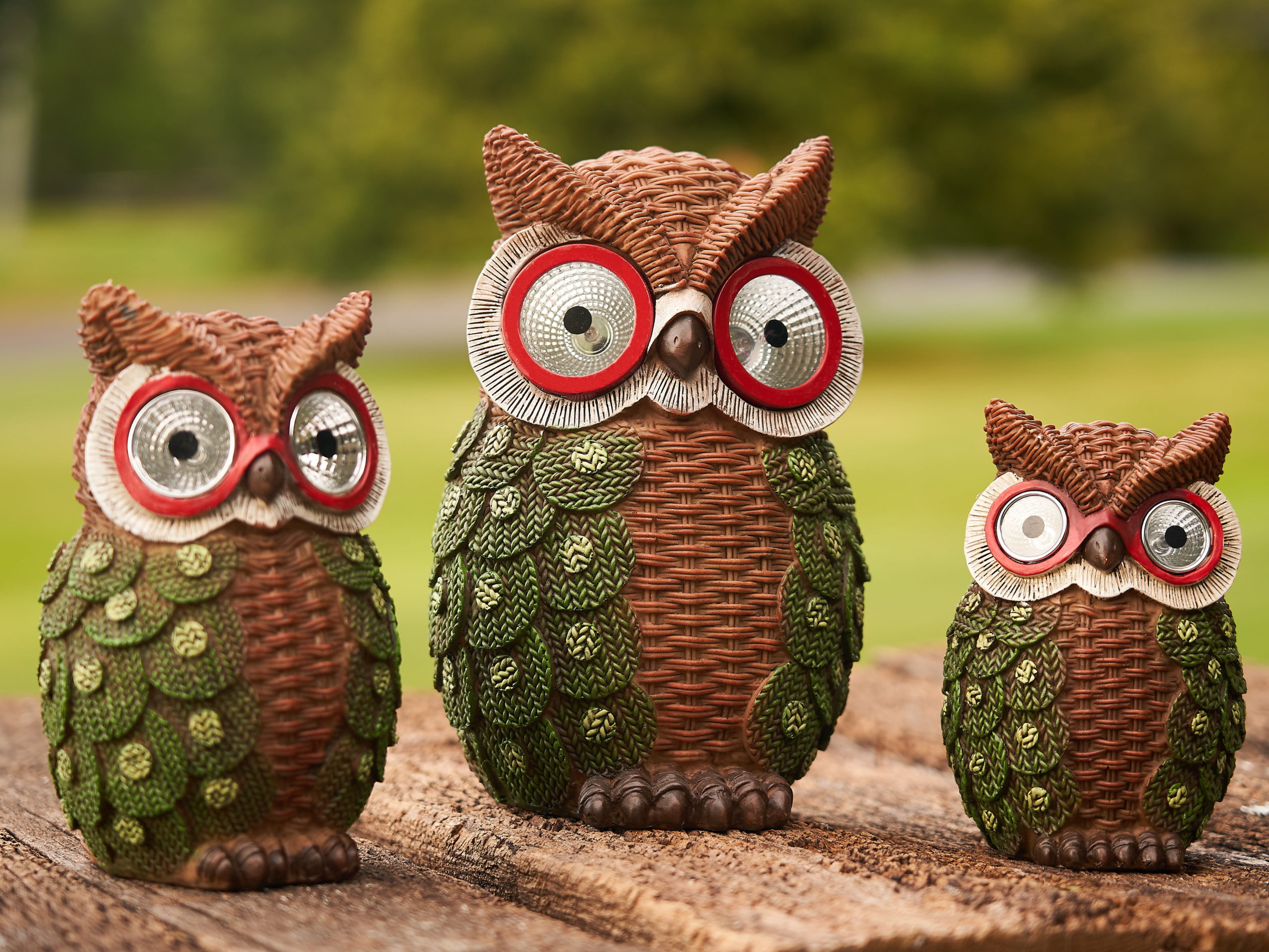 Unique Home and Garden Decor