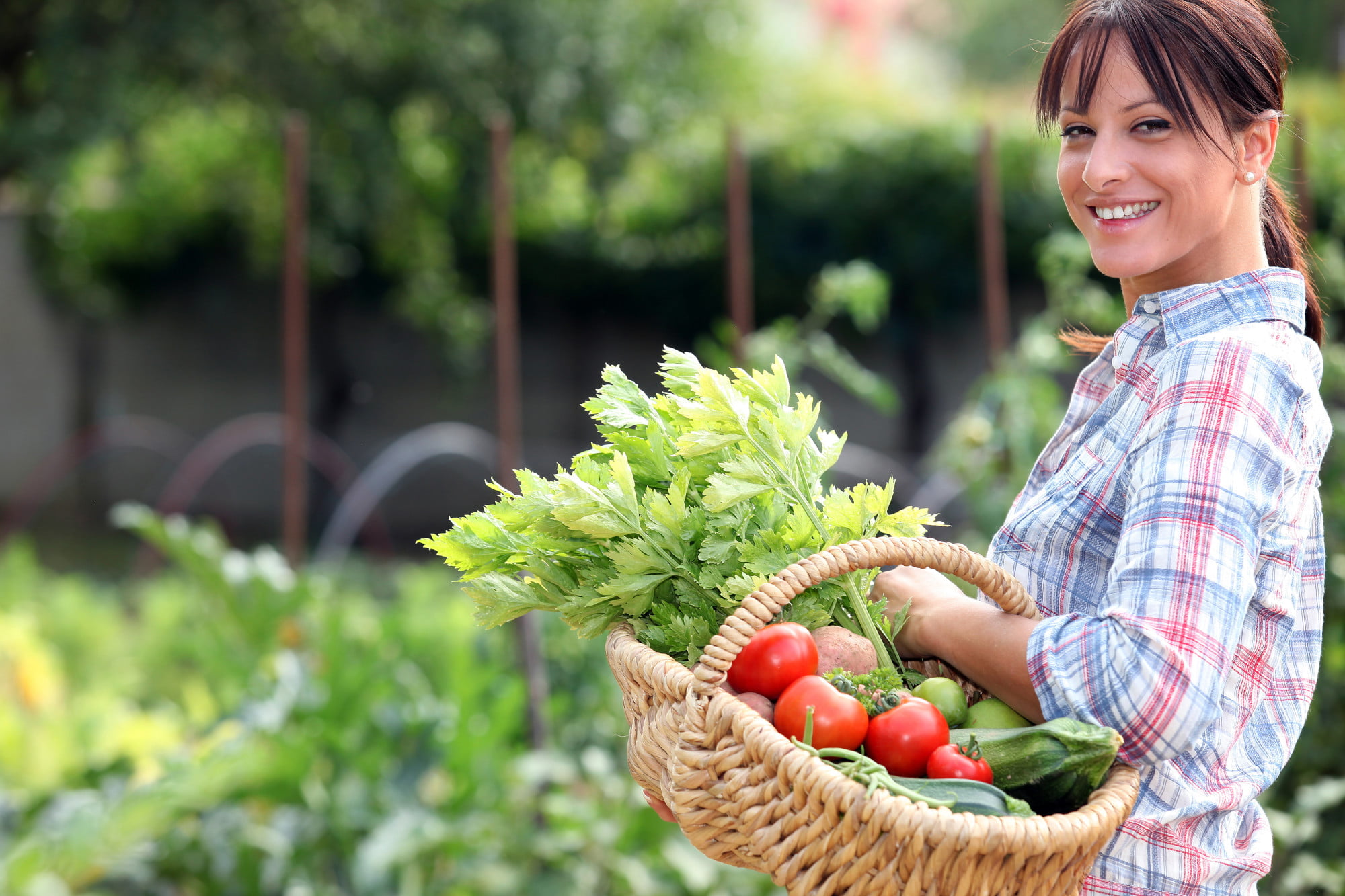health benefits of gardening