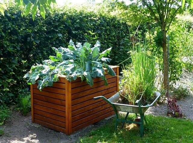 garden decorations, outdoor decorations