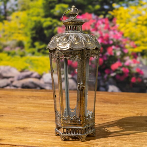 21.65" Tall Embellished Iron & Glass Terrarium "Davitiani" in 2 Color Options