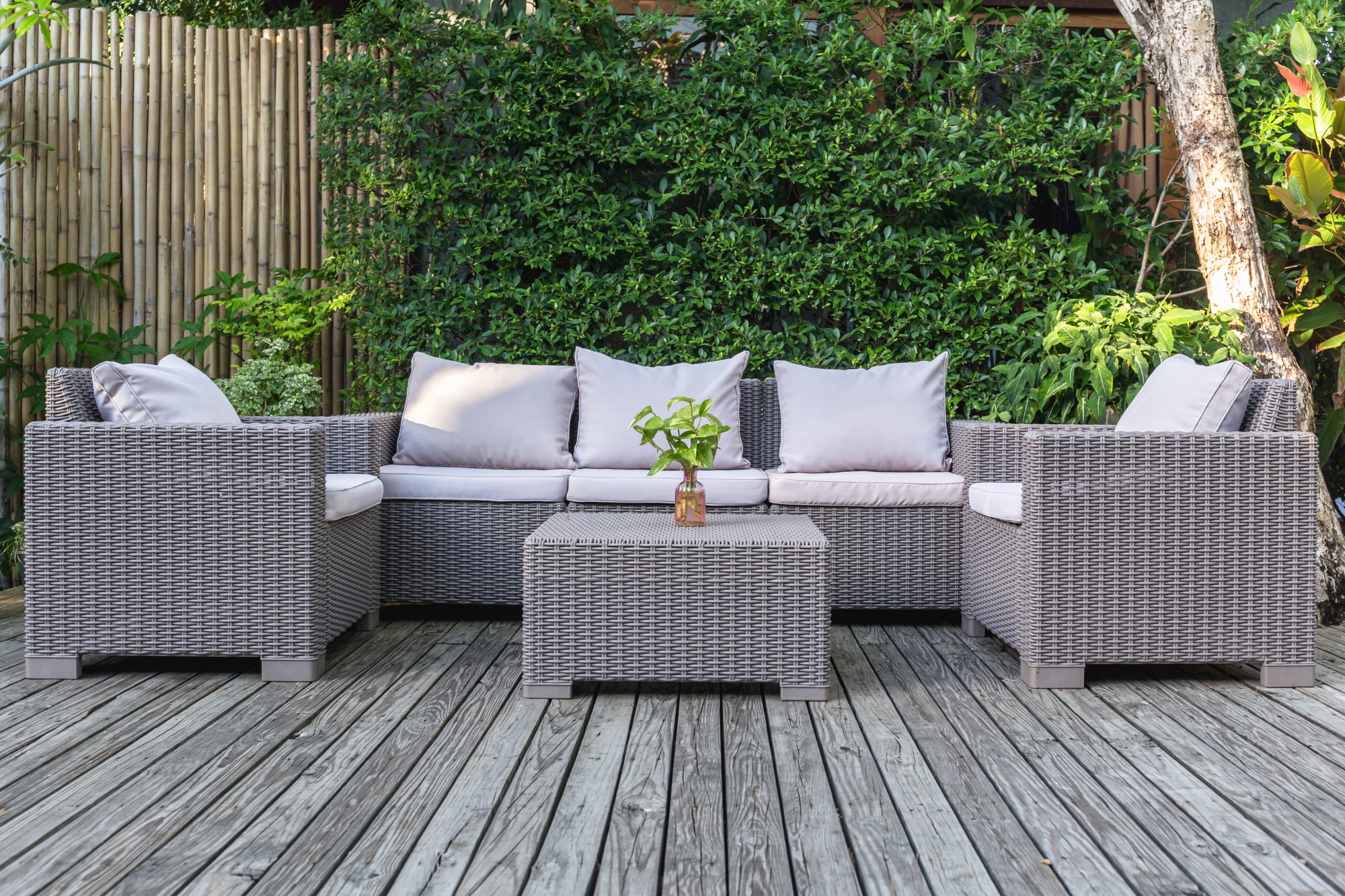 furniture buying guide