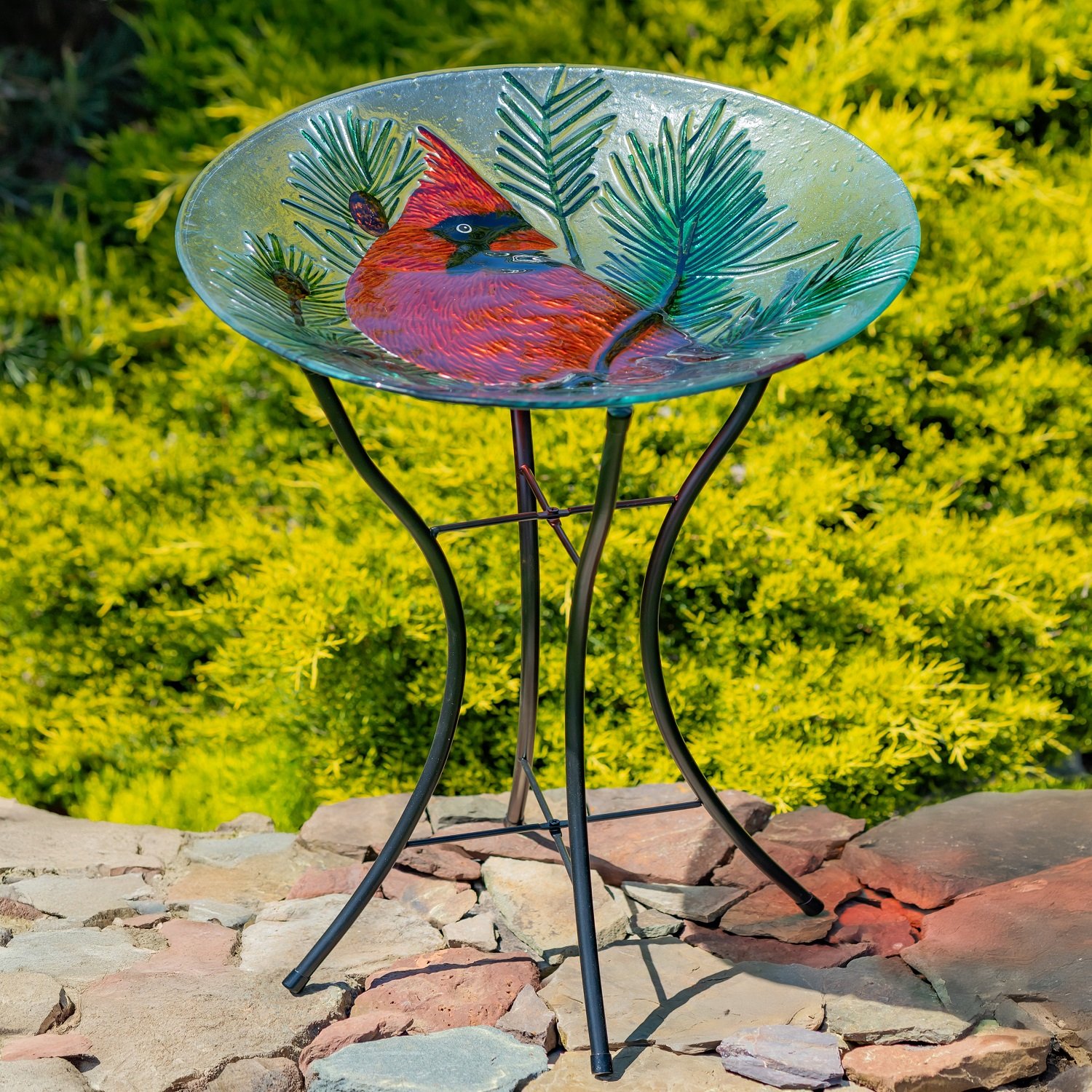 Cardinal Bird Bath