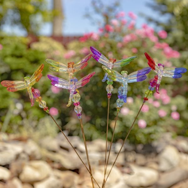 Set of 6 different Color Acrylic Dragon Flies