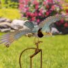 Blue & Yellow Blue Jay