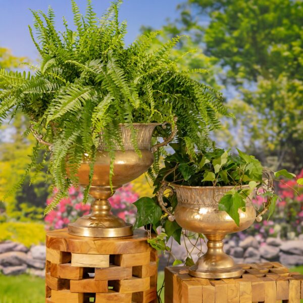 Set of 2 Assorted Metal Urns "Pomona"