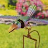 Exotic Green, Blue & Purple Bird