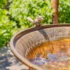 25.4" Tall Gold Birdbath-Feeder with Ornate Stand - Image 11