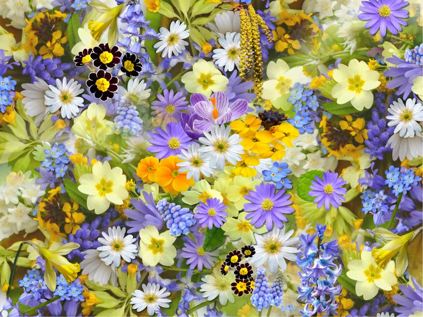 Spring garden
