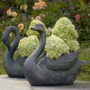 A Pair of Swans Female and Male with Plants in Body of Swan- Head up- Head Down