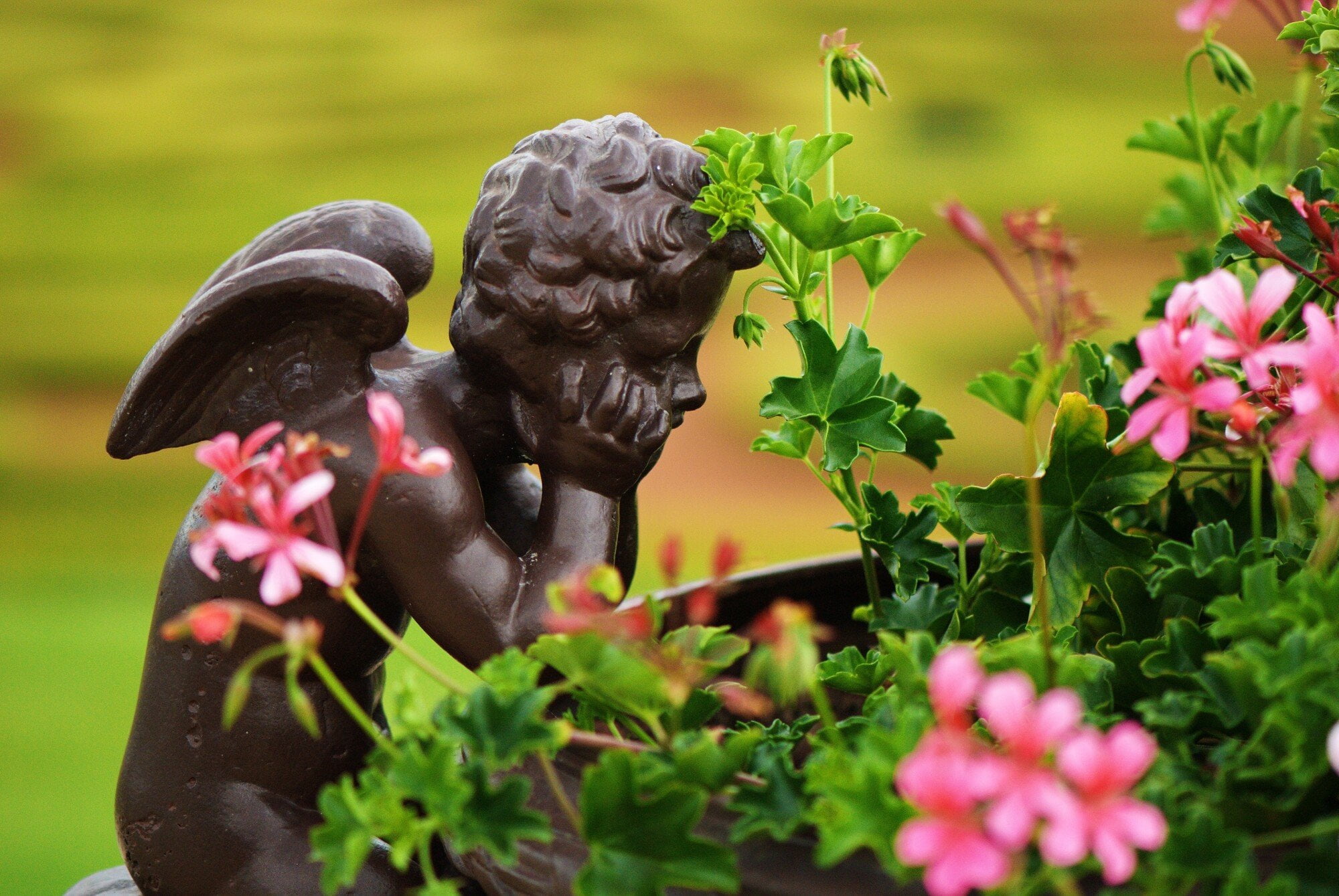 garden accents