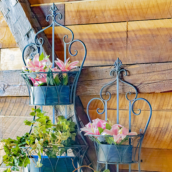 Planters and Plants Stands