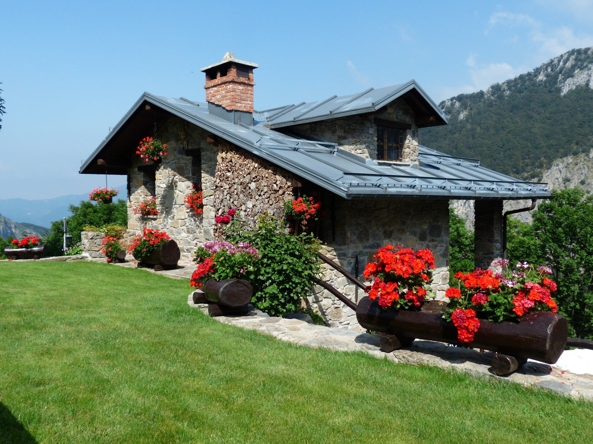 cottagecore garden