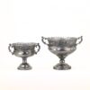 Set of 2 Assorted Metal Urns "Pomona"