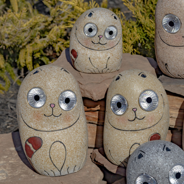 One set of Cream Rock Cats sitting on some rocks looking at you with there round eyes that lights up