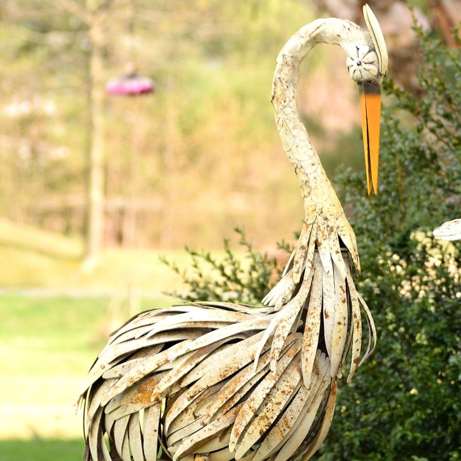 Close up image of white Heron looking down