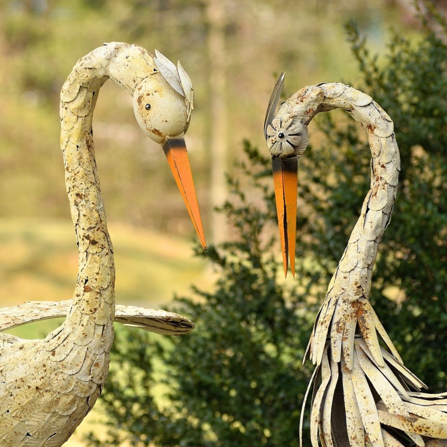 Close up image of white Herons long neck looking down with there bright orange beaks