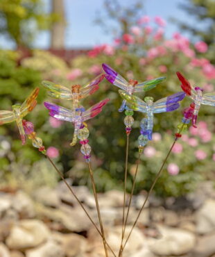 Set of 6 different Color Acrylic Dragon Flies
