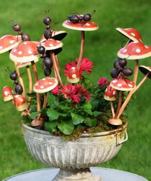 Set of 6 Assorted Funny Ants on Iron Mushroom Garden Stakes