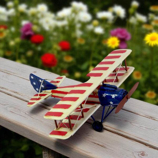 Decorative Americana Model Airplane