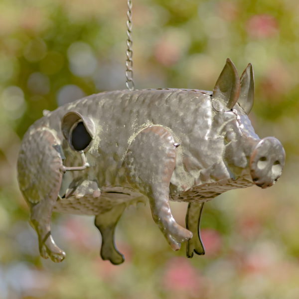 Right Side View of Metal Pig Birdhouse Hanging on a Chain with Entry Way for Birds
