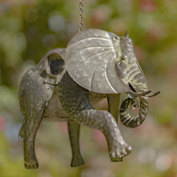 Iron Elephant - Shows Curled Trunk, Ear Fans Back an one leg up- with Entrance to birds