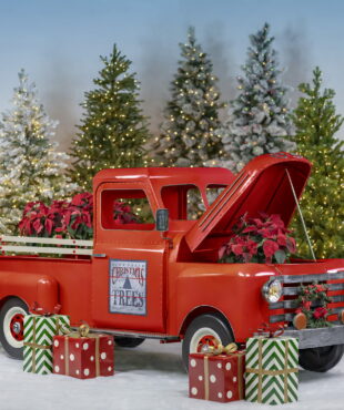 Large Red Houston Truck with Hood Open and Poinsettias