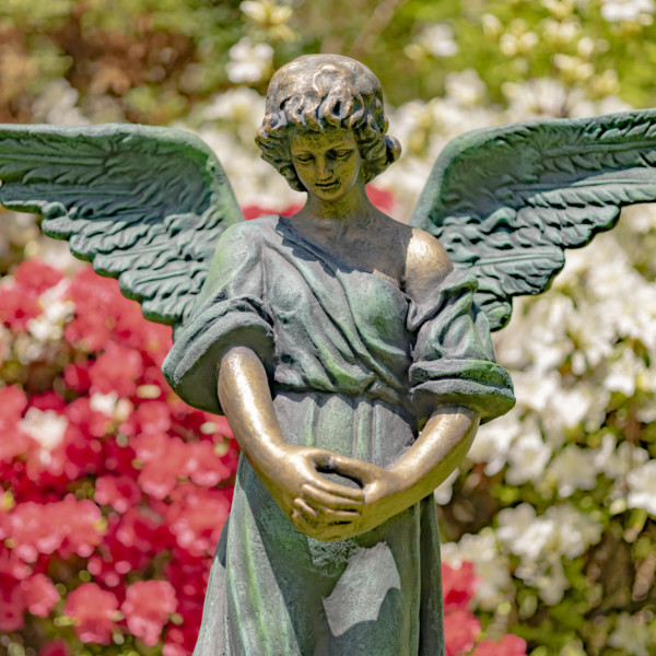 Close up image of Antique bronze tall magnesium angel statue standing in a garden with her head bowed down holding her two hands together while her wings are spread wide open