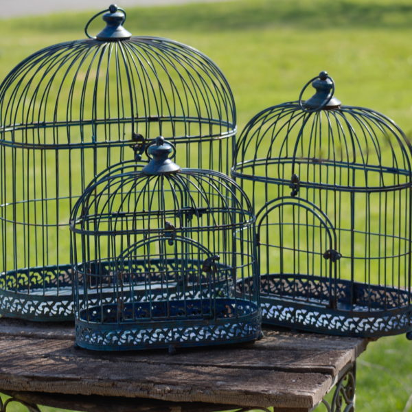set of 3 bird cage decoration in distressed antique blue finish