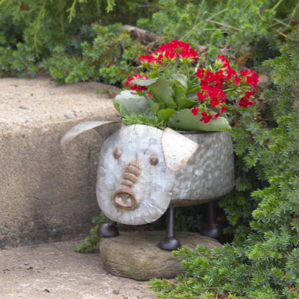 galvanized metal flower pot shaped like a pig