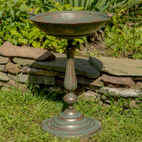 Iron pedestal birdbath in antique bronze distressed finish with deep round bowl and two birds sitting on it