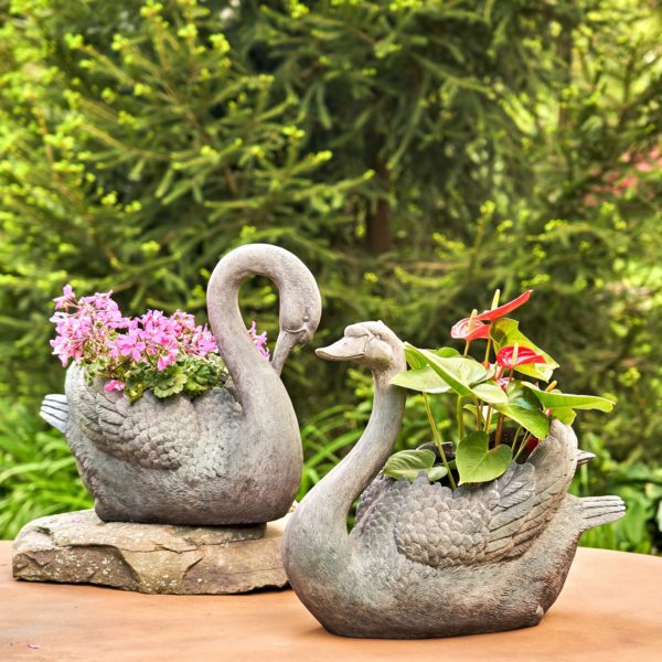 Two Swans one with Head up Up the other Head Down with Flowers inside of them