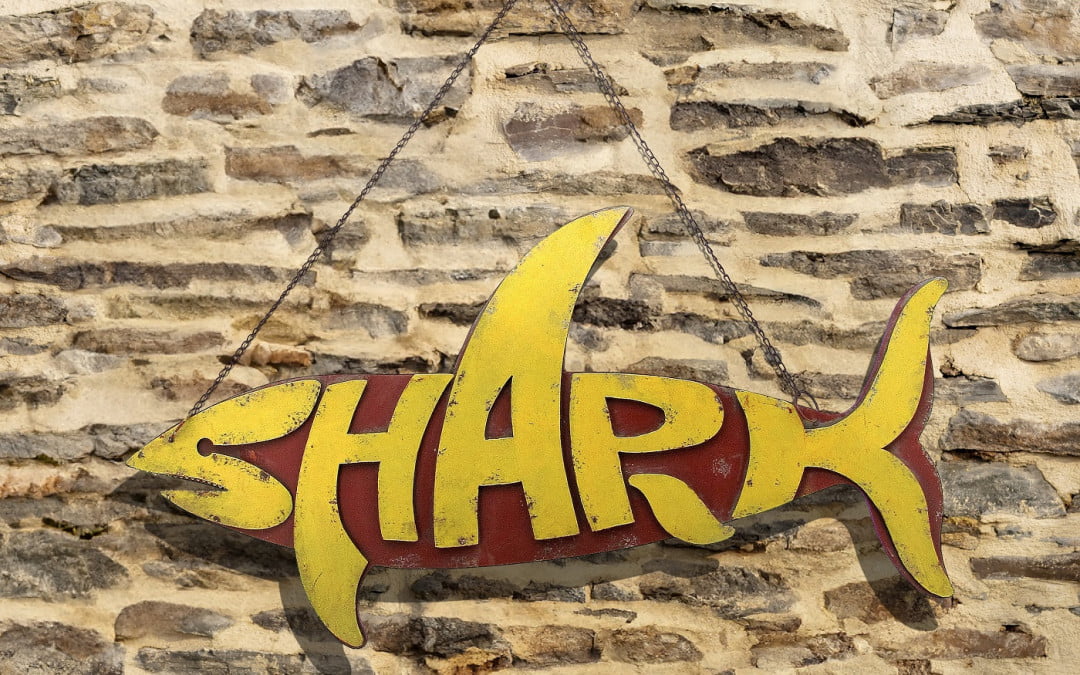 Hanging Metal Shark Sign in 3 Assorted Colors