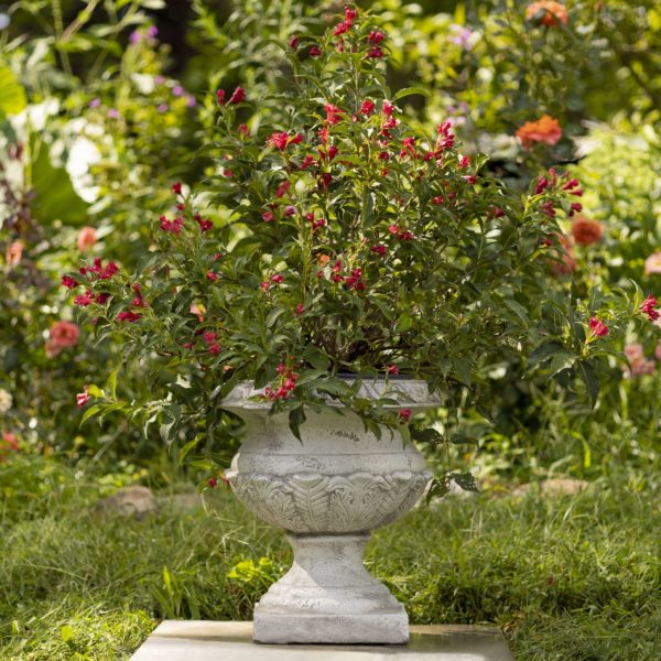 17 inch tall urn style flower planter in antique white with flowers inside