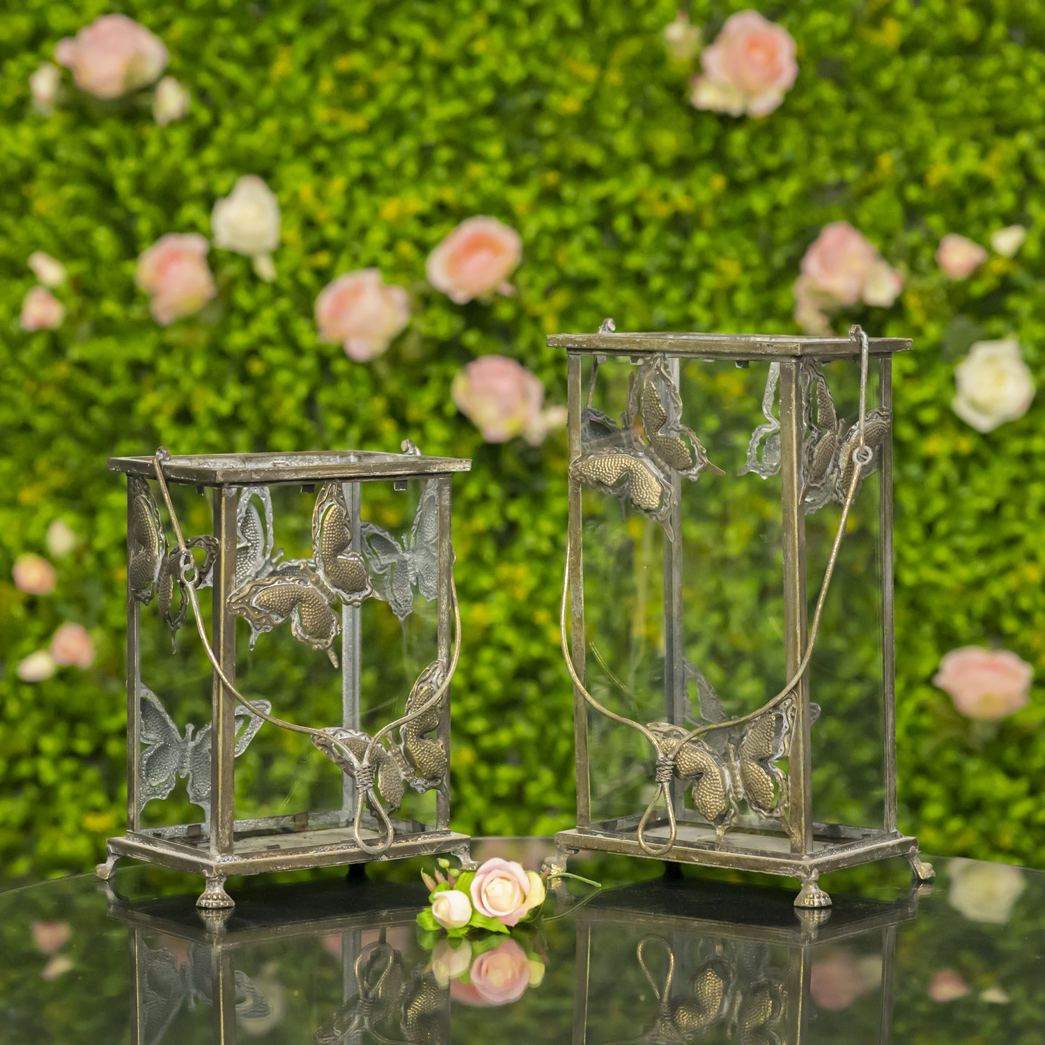 One small and one large frosted gold lantern with butterfly design
