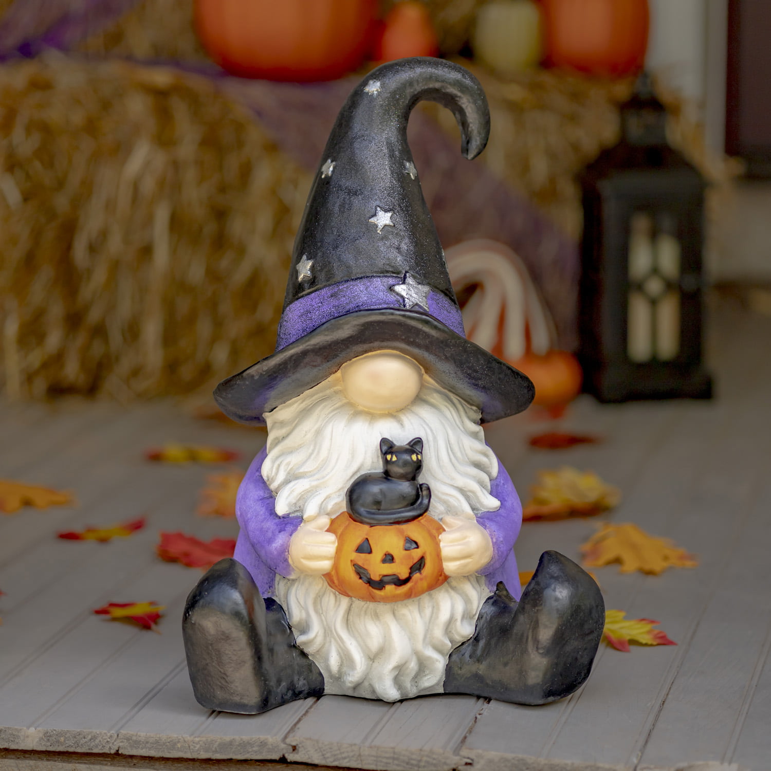 Gnome with Kitten