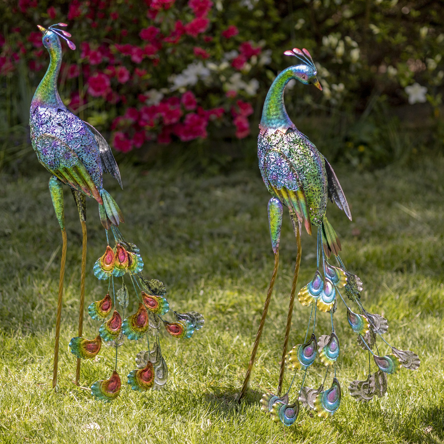 Set of 2 35