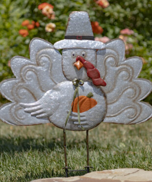Galvanize flat thanksgiving turkey stake holding orange pumpkin