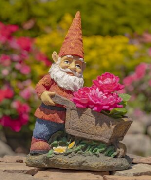 Spring garden gnome statue and wheelbarrow planter holding pink flowers