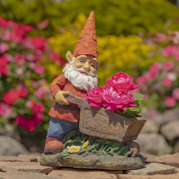 Spring garden gnome statue and wheelbarrow planter holding pink flowers