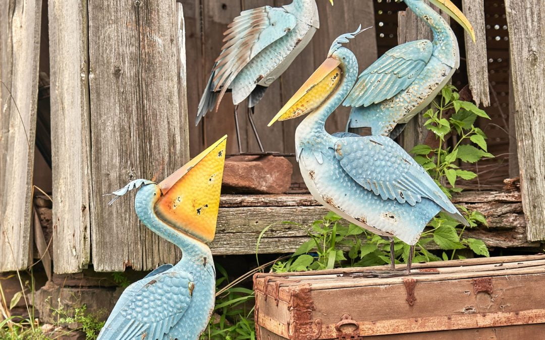 Set of 4 Assorted Style Coastal Pelicans