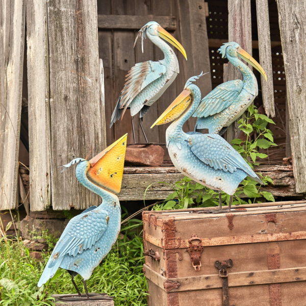 Four Blue Coastal Pelicans