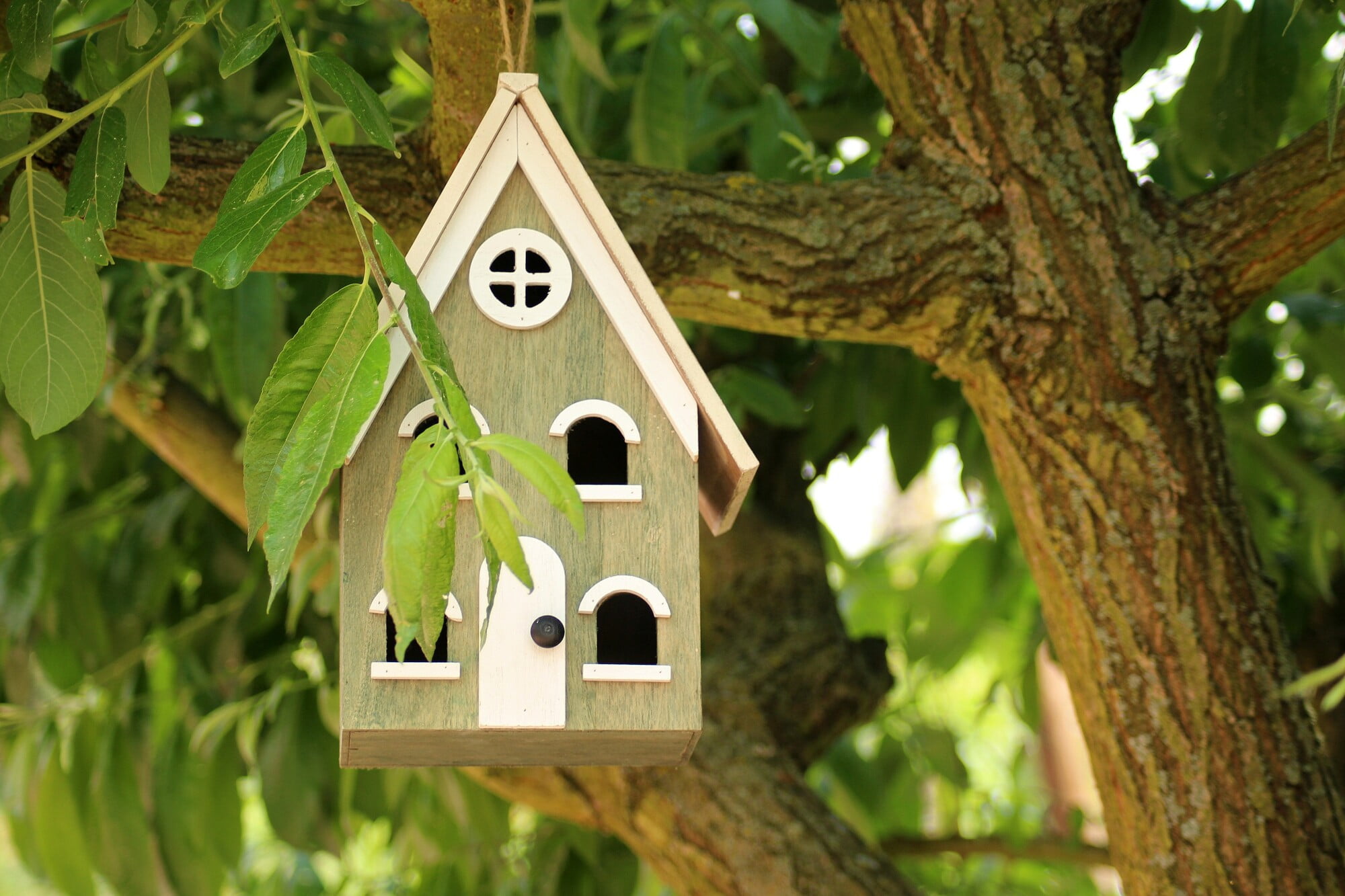 best way to hang a birdhouse