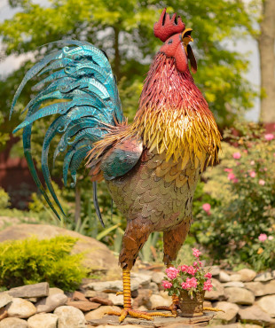 Front View of Iron Rooster Standing Tall and Proud