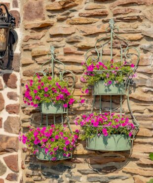 Two dual green hanging on wall iron basket planters with curlicue designs and plants in it for additional décor ( Plants not included)