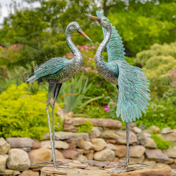 Two Cranes with Back View of Wings and Details on Feathers - Head up and Head Down
