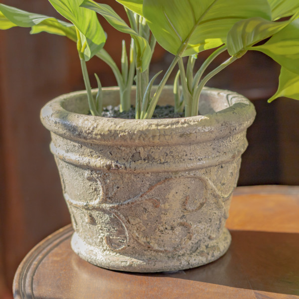 Close up image of large white Toucan style round ceramic flower pot with plant inside (plant not included)